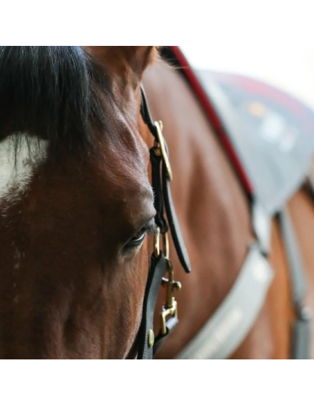 Tapis De Massage Chauffant Equilibrium