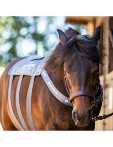 Tapis De Massage Chauffant Equilibrium
