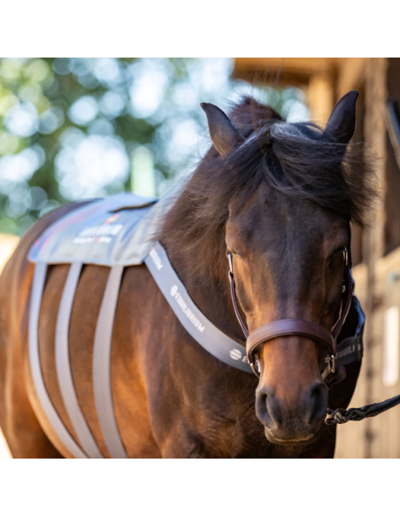 Tapis De Massage Chauffant Equilibrium