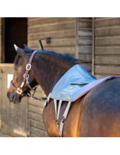 Tapis De Massage Chauffant Equilibrium
