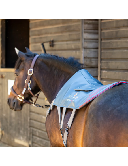 Tapis De Massage Chauffant Equilibrium