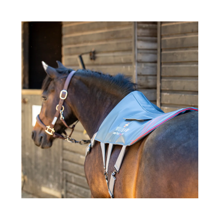 Tapis de Massage Chauffant - Equilibrium