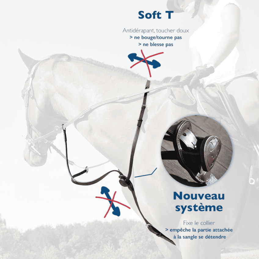 Martingale-C-Cure-Anneaux-IHWT.png