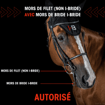 branches-bride-autorise-2.png