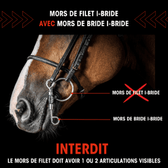 branches-bride-interdit-1.png