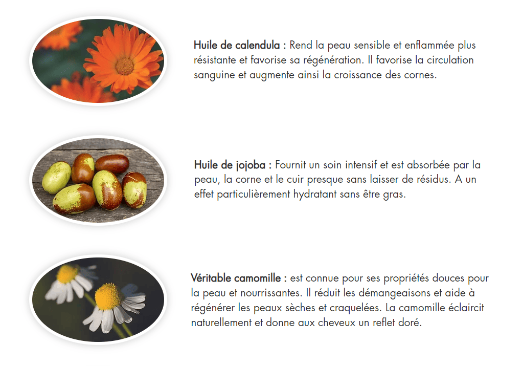 pommade-argent-Leovet-actif-vegetaux-inclus-2.png