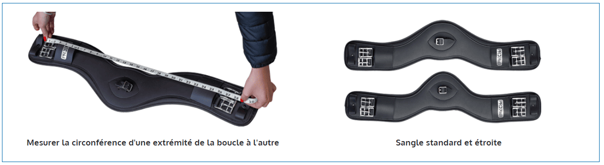 sangle-courte-prolite-1.png