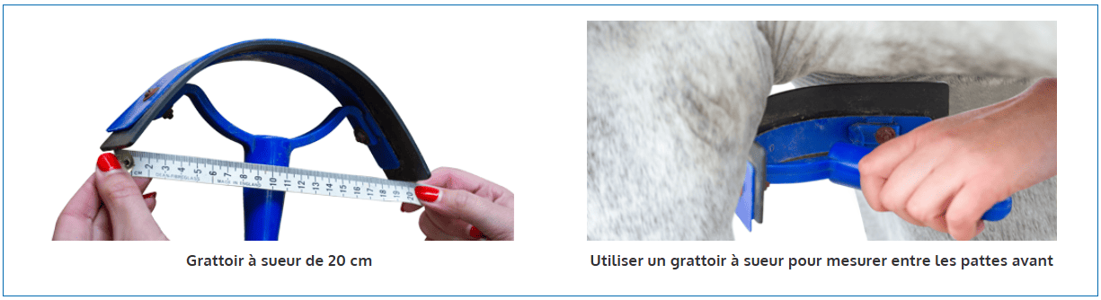 sangle-courte-prolite-2.png