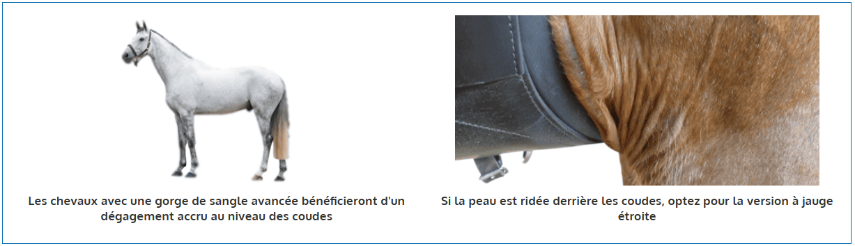 sangle-courte-prolite-3.png