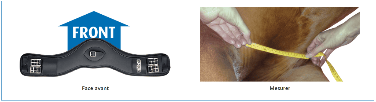 sangle-courte-prolite-4.png