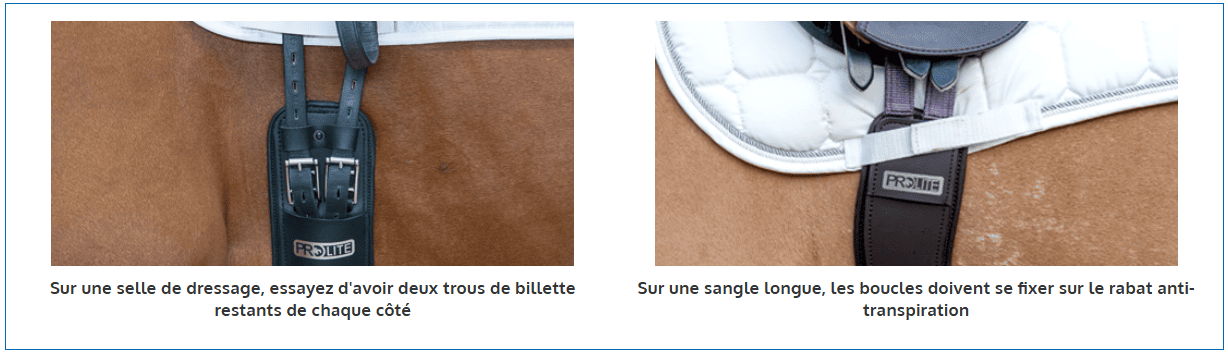 sangle-courte-prolite-5.png