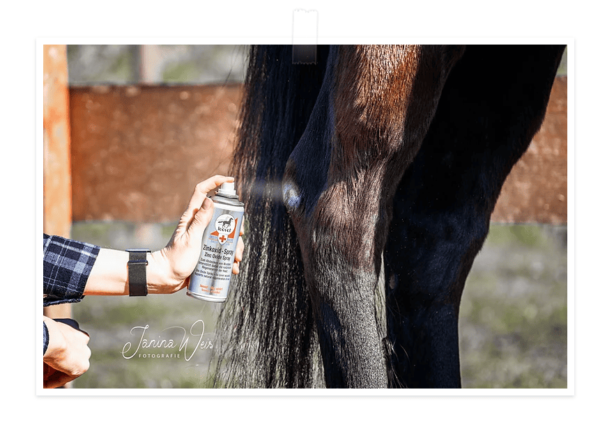 spray-oxyde-zinc-Leovet-utilisation.png